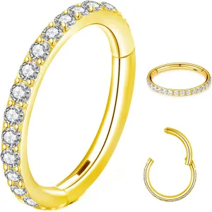 14K Gold Filled Septum Rings Hoop 16G 8mm/10mm 316L Segment Nose Rings for Men, Cartilage Clicker Hoop Earrings for Rook, Daith, Tragus, Hypoallergenic.