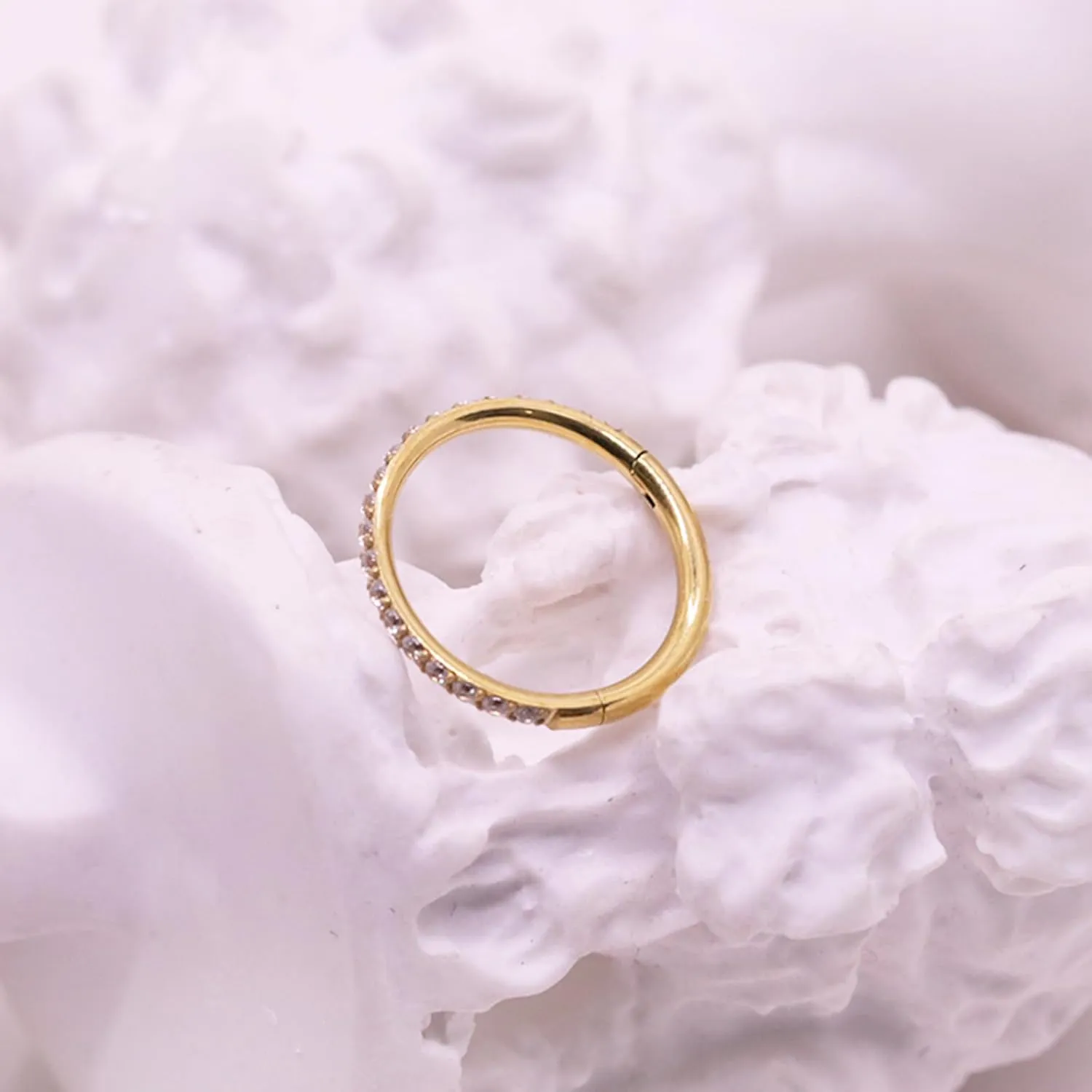14K Gold Filled Septum Rings Hoop 16G 8mm/10mm 316L Segment Nose Rings for Men, Cartilage Clicker Hoop Earrings for Rook, Daith, Tragus, Hypoallergenic.