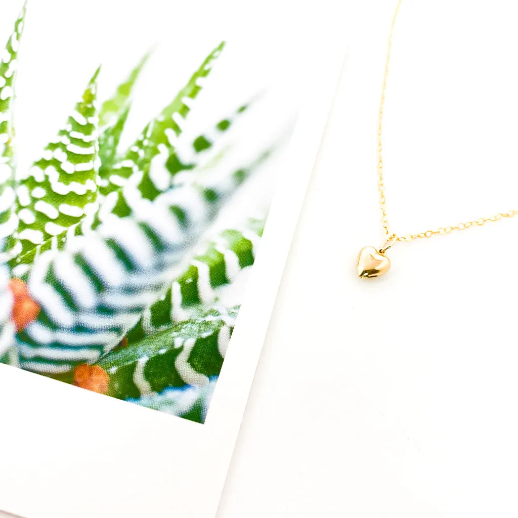 Brielle Dainty Heart Necklace