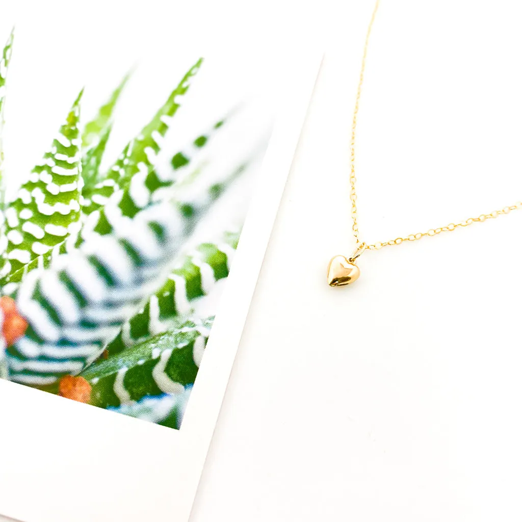 Brielle Dainty Heart Necklace