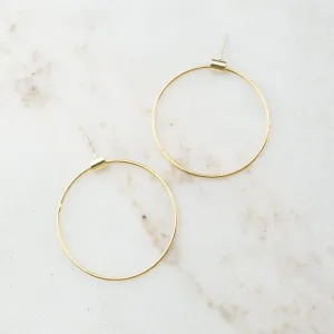 Large Swing Hoops